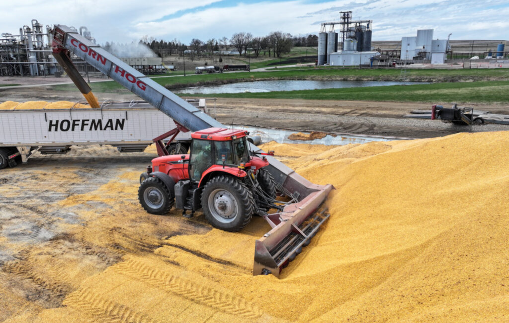 A Sudenga Ultra Scoop loads grain into a trailer marked "HOFFMAN" on the side.