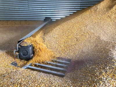 Sudenga Power Sweep