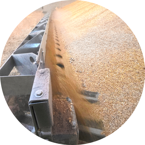 Sudenga's Double Barrel Power Sweep in a grain bin